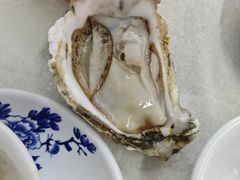 原只蒸生蚝-嘉升大排档(番禺总店)