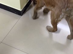 -琳哒宠物医院