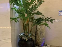 -东方之珠洗浴休闲广场(和平店)