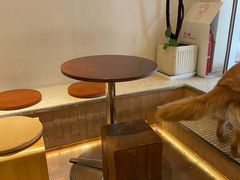 -小团圆糖水铺(襄阳南路店)