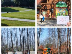 -合肥滨湖国家森林公园