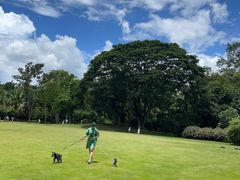 -中国科学院西双版纳热带植物园