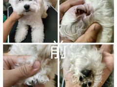 -听TA说宠咖·宠物生活馆(天韵水岸店)