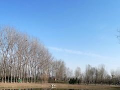 -东郊湿地公园
