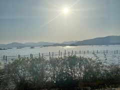 -湖畔居茶楼(湖滨店)