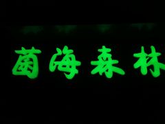 -菌海森林·非遗野生菌火锅(西山区滇池路摩根道店)