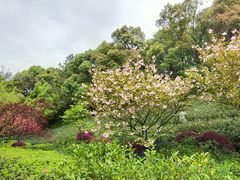 -杭州半山国家森林公园