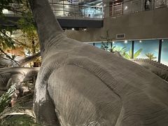 -湖南省地质博物馆