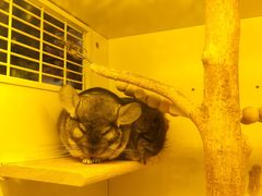 -龙猫仔乐园(惠福东路店)