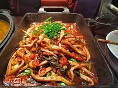 大盆鱿鱼-小隐人家(乐松店)
