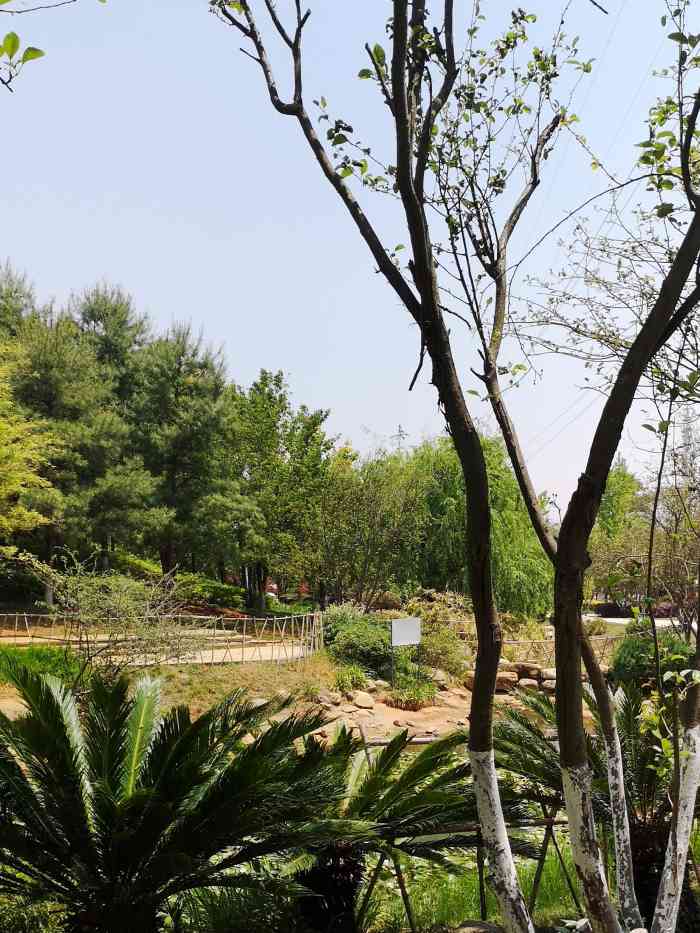 春融公园-"我们是去年年底去的昆明.早上在酒店附近走.