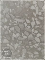 -型色沙龙 Color Salon