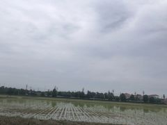 -中国天府农业博览园