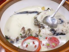 -全乐鱼馆·淳牌有机鱼直营店