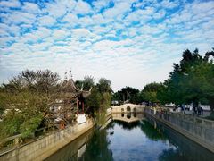 -南沙蒲洲花园