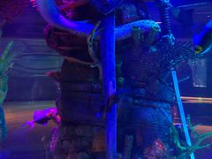 -沈阳海洋探索中心