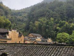 -杨家堂村
