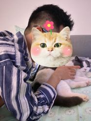 -格图男士理发馆
