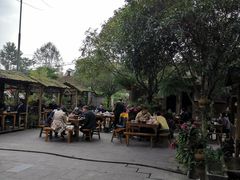 -青城甲(青城山店)