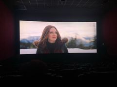 -AMG海上明珠影城(上海环球港RealDCinema店)