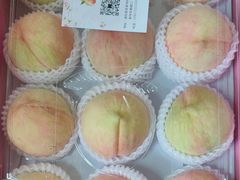 -南汇新场正宗水蜜桃采摘