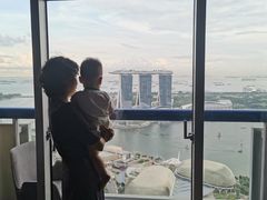 -新加坡瑞士史丹福酒店