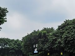 -广州长隆飞鸟乐园