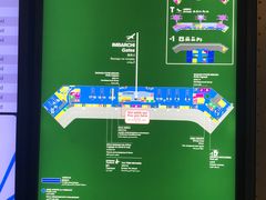 -米兰马尔彭萨国际机场