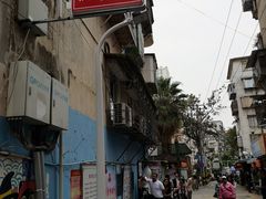 -猫咪博物馆(顶澳仔猫街店)