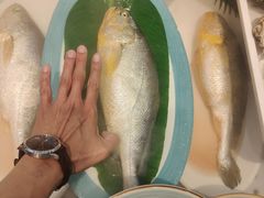 -渔家风味·鲅鱼水饺·央视展播·海鲜天津菜(开发区店)