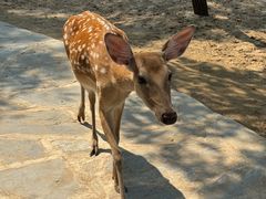 -南戴河国际娱乐中心