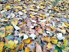 -长春公园(普阳街道)