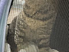 -派特宠物医院(圆融广场店)