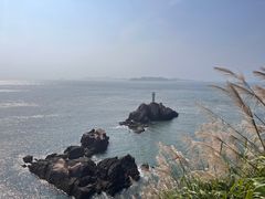 -阿军排档·烧烤