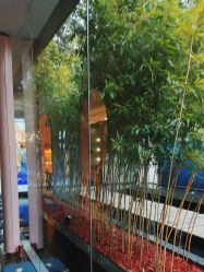 -爱儿美儿童摄影(朝阳公园店)