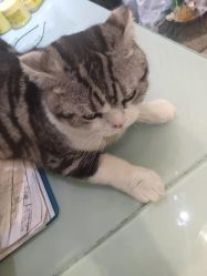 -卡尔诗·科技美肤连锁