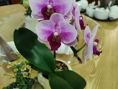-佛有缘素食馆·荔湾老字号(陈家祠首店)