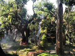 -Chom Cafe and Restaurant