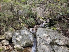 -王顺山国家森林公园