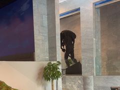 -北京周口店北京人遗址博物馆