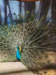 -酷嗒动物文化乐园(cutezoo西溪乐天城店)