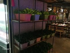 大堂-番食园鲜食火锅(高新店)