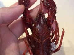 -怪怪龙虾·澳洲蓝龙王·深夜食堂(惊驾路店)