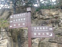 -老幺泉水鸡