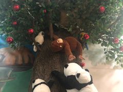 -藦茜花园宠物主题亲子互动体验馆(国顺东路店)