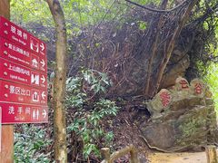 -南丹山森林王国