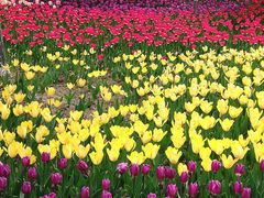 -长春公园(普阳街道)