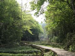 -武夷山风景名胜区-虎啸岩