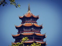 -铁山坪森林公园