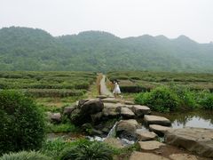 -中国茶叶博物馆(双峰馆区)